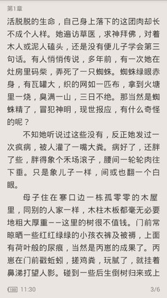 在菲律宾护照进了黑名单怎么办，护照是什么原因导致进黑名单呢？